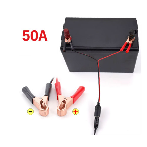 Toma corriente con pinzas batería automóvil 12V