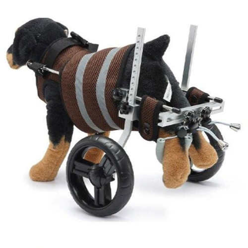 Silla Ruedas perro XS y S ajustable 4 a 9 KG 