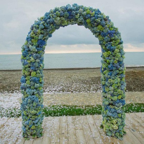 Arco jardín plantas enredaderas altura ajustable Arco jardín plantas enredaderas altura ajustable