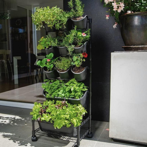 Huerto vertical con ruedas jardinera maceteros móvil Huerto vertical con ruedas jardinera maceteros móvil