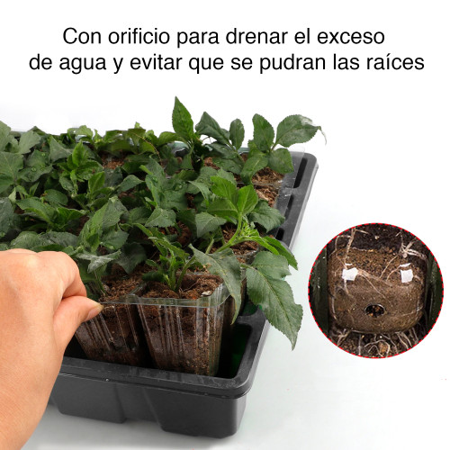 Bandeja Almaciguera germinador semillas MIB-KN100 Bandeja Almaciguera germinador semillas MIB-KN100