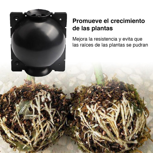 Cápsula Esquejera enraizamiento plantas x 10