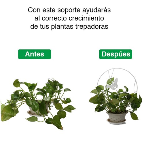 Soporte plantas trepadoras Mariposa Blanca Soporte plantas trepadoras Mariposa Blanca