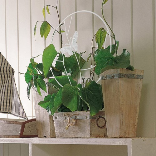 Soporte plantas trepadoras Mariposa Blanca Soporte plantas trepadoras Mariposa Blanca