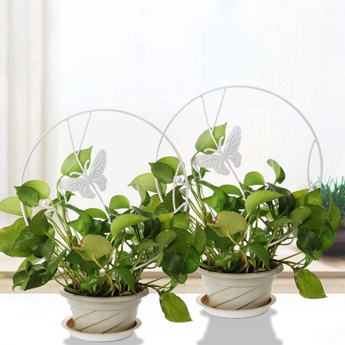 Soporte plantas trepadoras Mariposa Blanca Soporte plantas trepadoras Mariposa Blanca