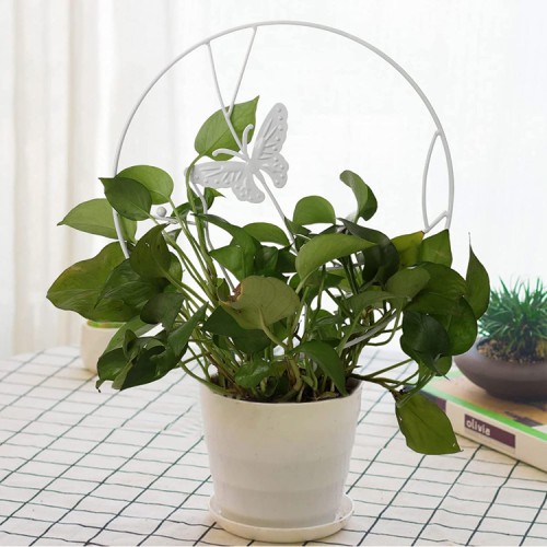 Soporte plantas trepadoras Mariposa Blanca Soporte plantas trepadoras Mariposa Blanca