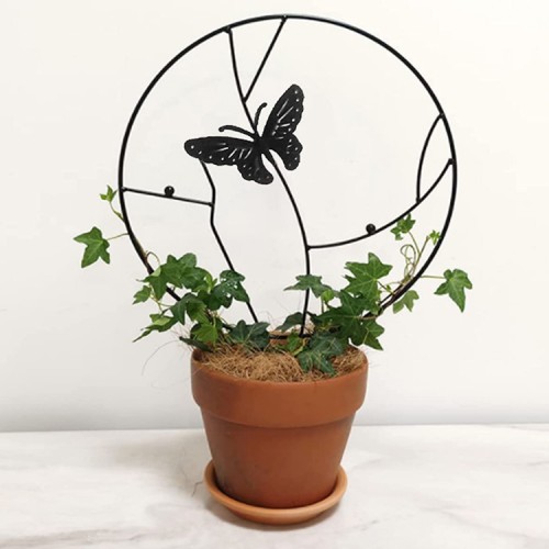 Soporte plantas trepadoras Mariposa Negra Soporte plantas trepadoras Mariposa Negra