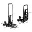 Yegua sube escaleras acero hasta 150 KG