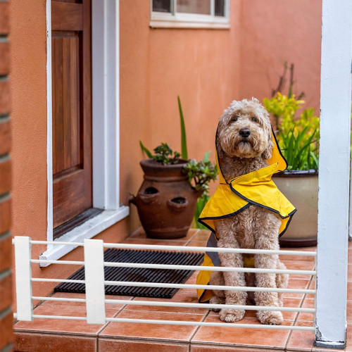 Reja seguridad perros niños retractil largo ajustable