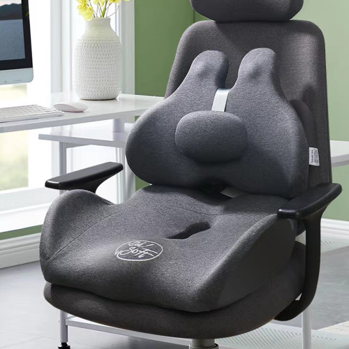 Cojín y Respaldo Lumbar para coxis silla y automóvil