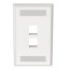 Faceplate Doble Panduit tapa frontal Keystone