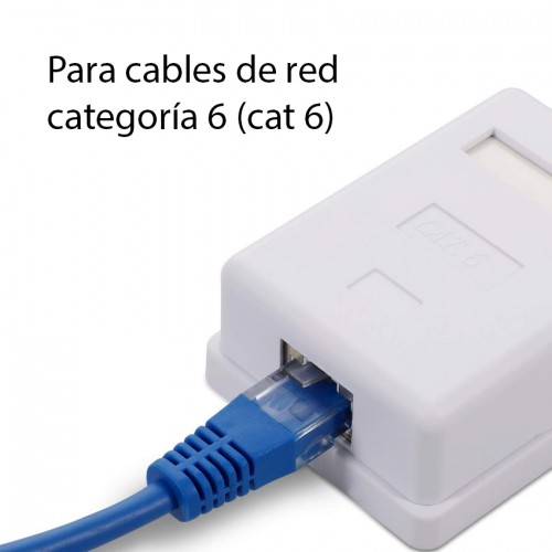 Roseta Caja RJ45 pared Cat 6 simple blanca Roseta Caja RJ45 pared Cat 6 simple blanca
